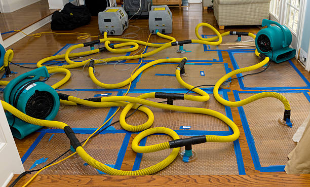 Professional Storm Water Damage Restoration technician working in Hadley, MA